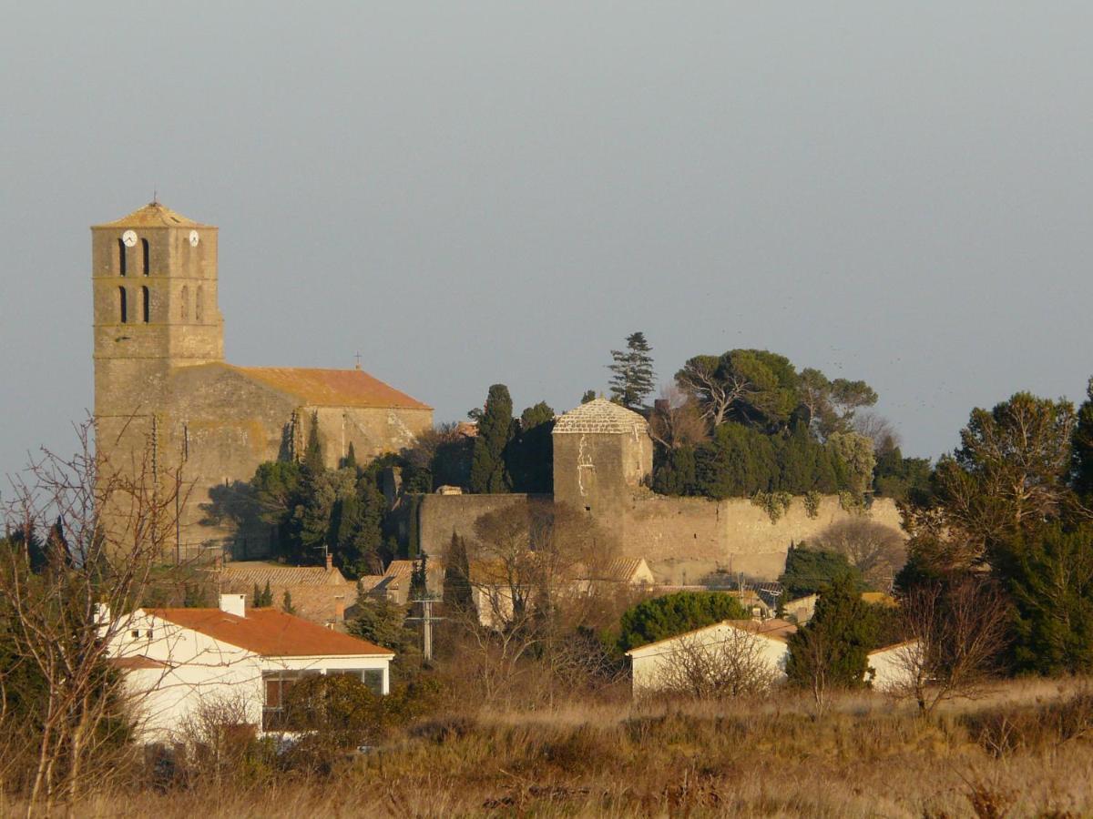 Chateau De Puicheric Экстерьер фото